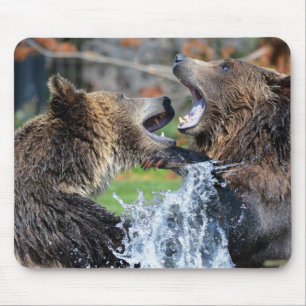 Grizzly bear fight mouse pad