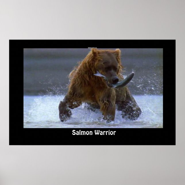GRIZZLY BEAR Fishing for Salmon Poster (Front)