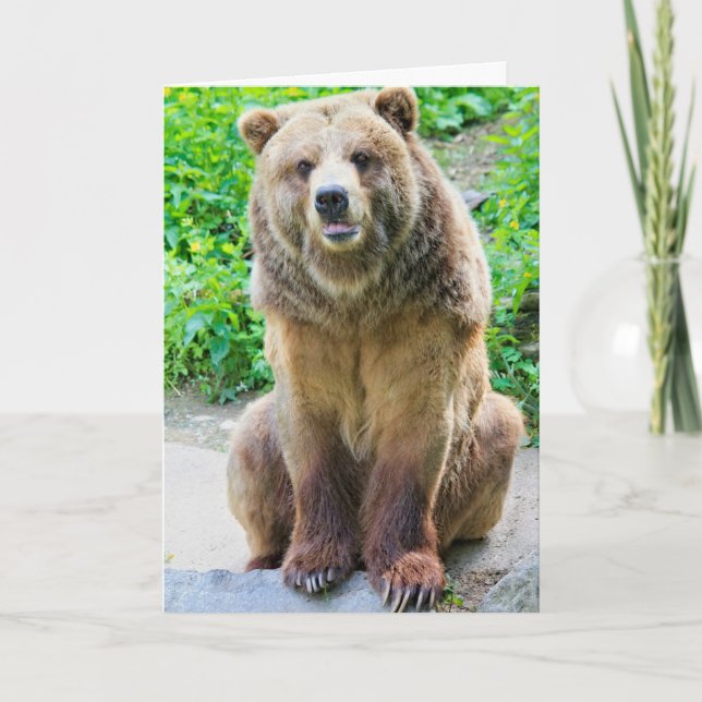 GRIZZLY BEAR FUNNY BIRTHDAY CARDS (Front)