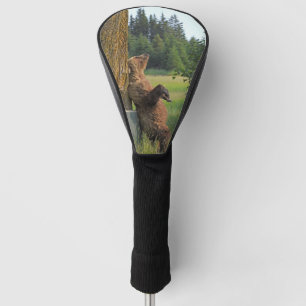 Grizzly bear Golf Head Cover