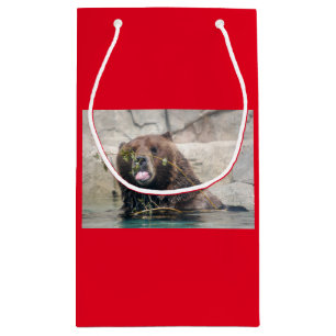 Grizzly Bear in the Water Small Gift Bag