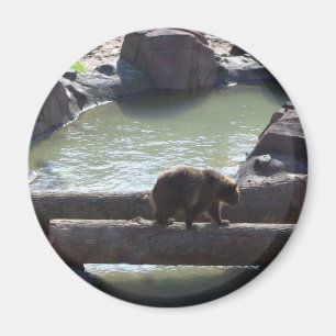 Grizzly Bear Magnet