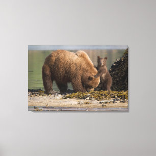Grizzly Bear Mother with Cub on a Beach Canvas Print
