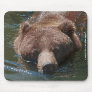 Grizzly Bear Mouse Pad