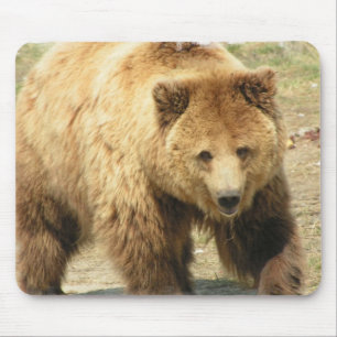 Grizzly Bear Mouse Pad