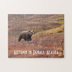Grizzly Bear Moves Through Autumn Colours In Alask Jigsaw Puzzle