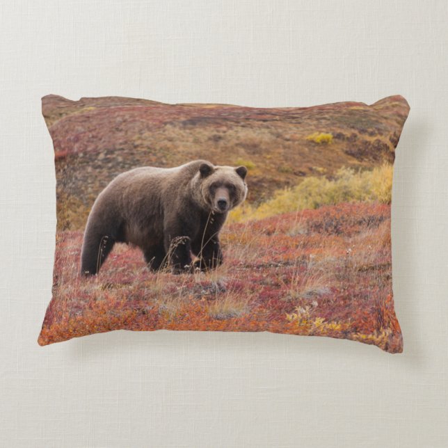Grizzly Bear Moves Through Autumn Colours In Decorative Cushion (Back)