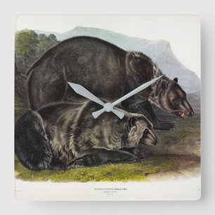 Grizzly Bear (North American Brown Bear) - Audubon Square Wall Clock