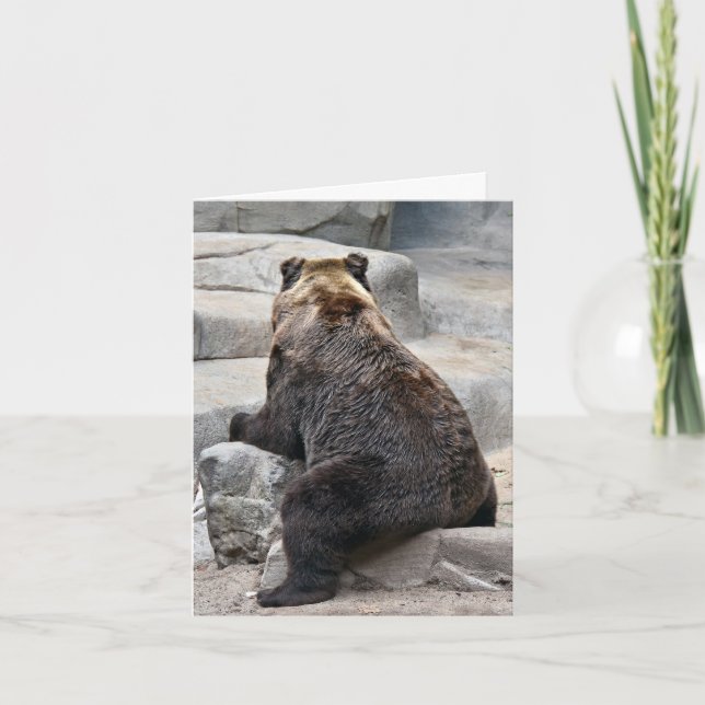 Grizzly Bear On a Rock Card (Front)