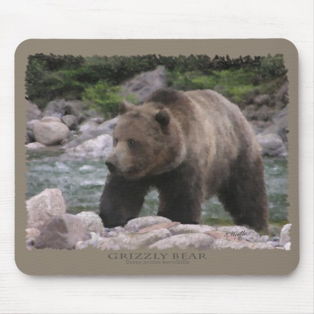 Grizzly Bear - Pastels Mouse Pad (Front)