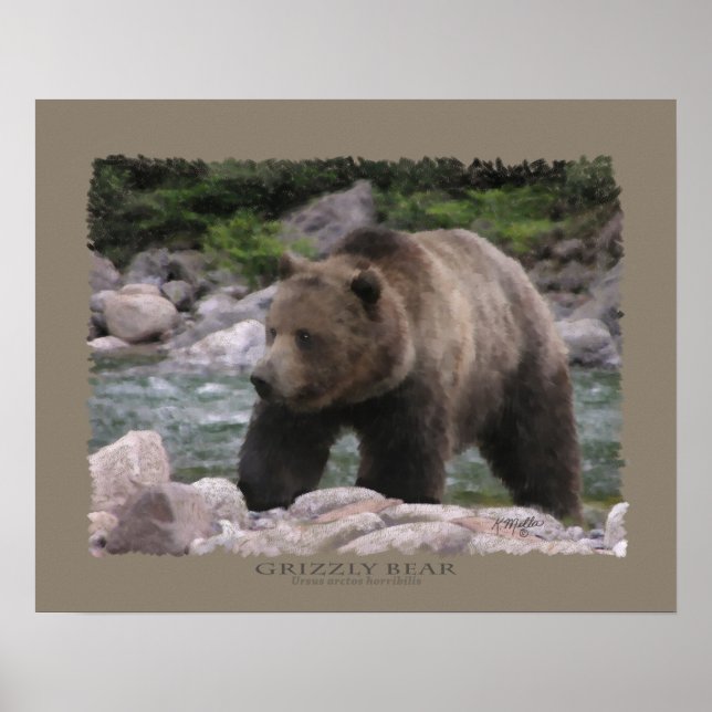 Grizzly Bear - Pastels Poster (Front)