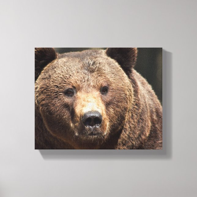 GRIZZLY BEAR PHOTOGRAPHY WRAPPED CANVAS (Front)
