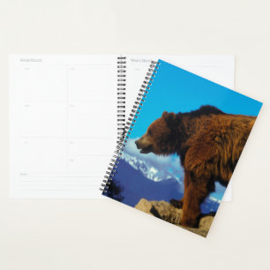 Grizzly Bear Planner