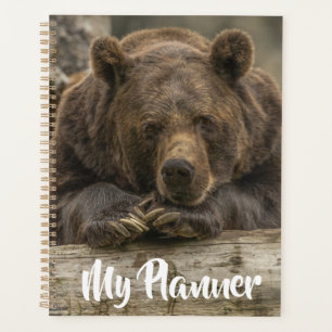 Grizzly Bear Planner