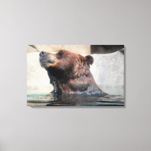 Grizzly Bear Playing in the Water Canvas Print