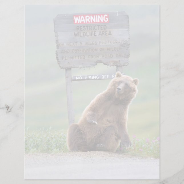 Grizzly Bear Plays With Sign (Front)