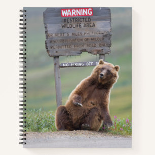 Grizzly Bear Plays With Sign Notebook