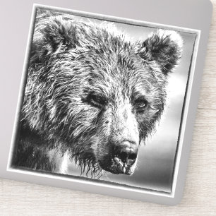 Grizzly bear portrait