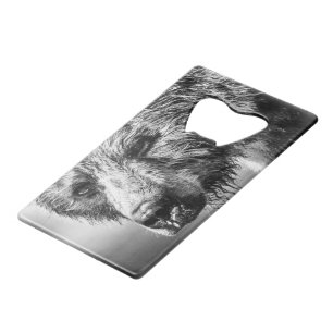 Grizzly bear portrait