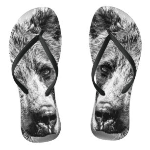 Grizzly bear portrait jandals