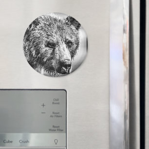 Grizzly bear portrait magnet
