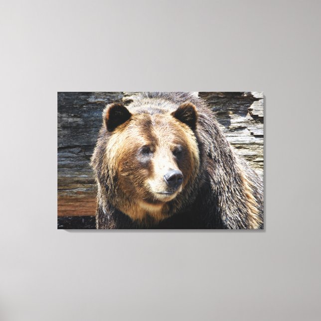 Grizzly Bear Profile Wrapped Canvas Print (Front)