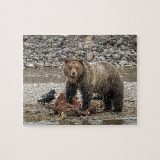 Grizzly Bear Puzzle