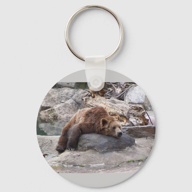 Grizzly Bear Resting On Rock Key Ring (Front)
