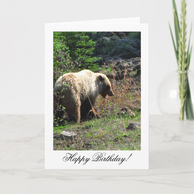 Grizzly Bear Smile; Happy Birthday Card (Front)