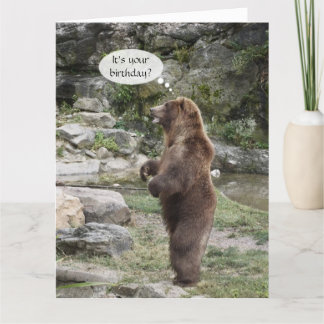 Grizzly Bear Standing Ovation BIG Card