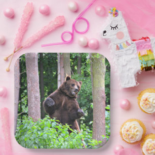 Grizzly Bear Standing Tall Paper Plates