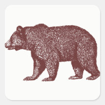 Grizzly Bear Stickers