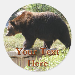 Grizzly Bear Stickers
