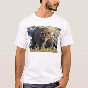 Grizzly Bear T-Shirt