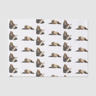 grizzly bear Tissue Paper