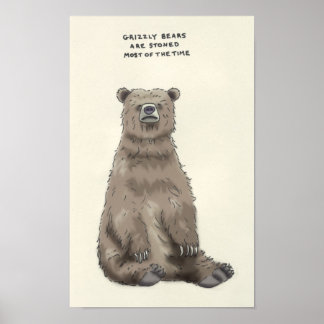 grizzly bear trivia poster