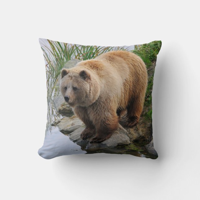 Grizzly Bear Wildlife Animal Photograph Cushion (Front)