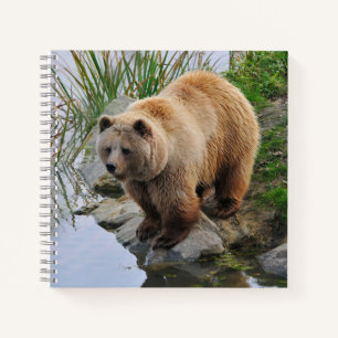 Grizzly Bear Wildlife Animal Photograph Notebook