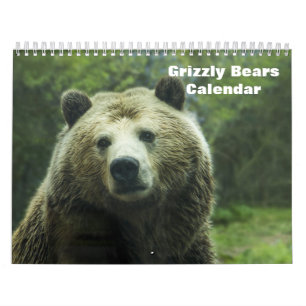 Grizzly Bears 2026 Calendar