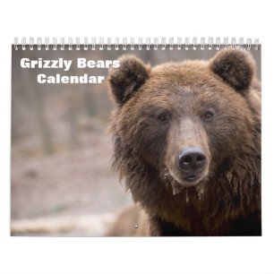 Grizzly Bears 2027 Calendar