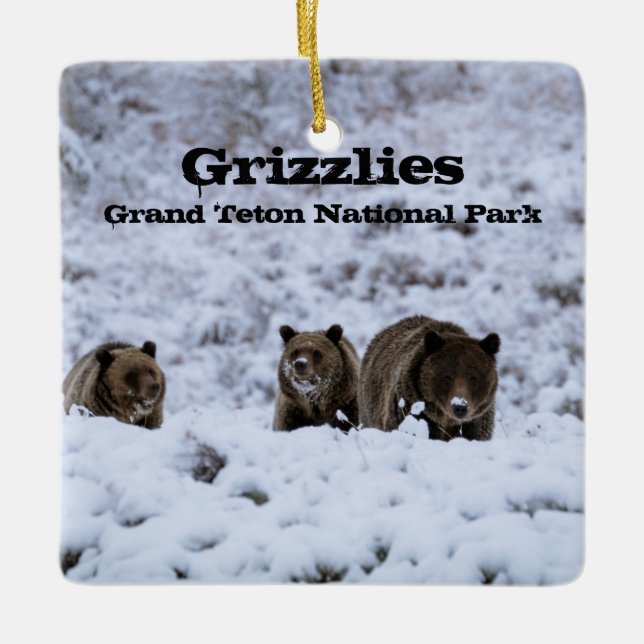 Grizzly Bears in Snow Grand Teton National Park Ceramic Ornament (Front)