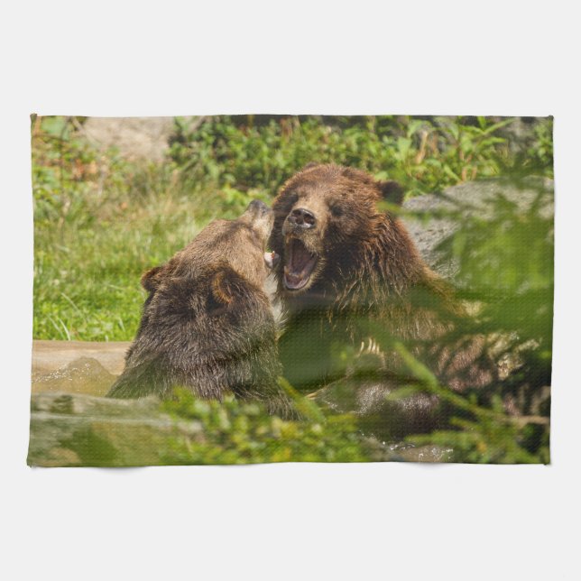 Grizzly Bears Play Fighting Tea Towel (Horizontal)