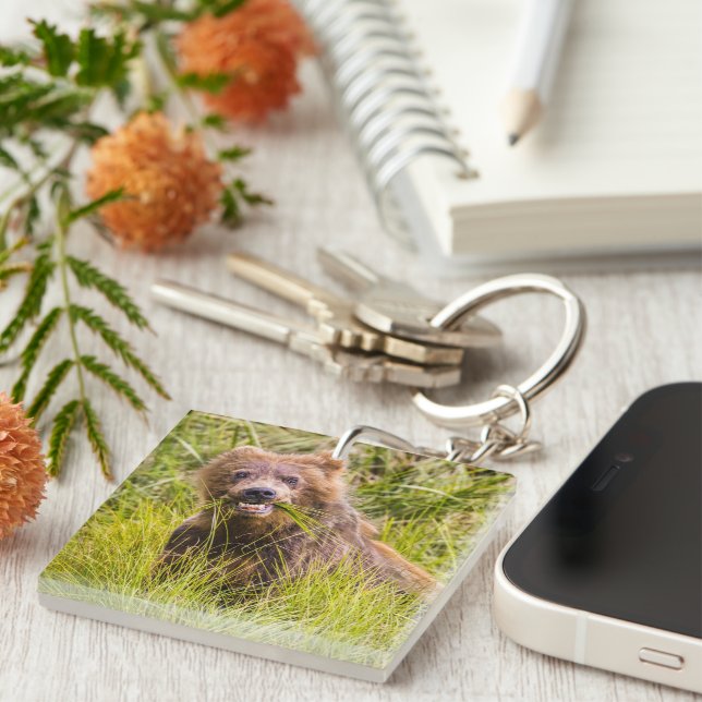 Grizzly cub grazing, Alaska Key Ring (Front Right)