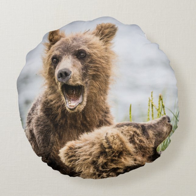 Grizzly Cubs Looking For Their Mum Round Cushion (Back)