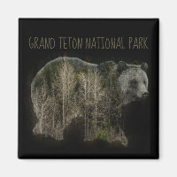 Grizzly Forest Grand Teton National Park
