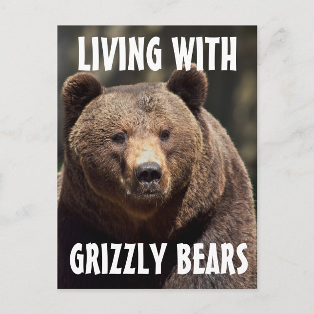 GRIZZLY MAN LIVING WITH BEARS POSTCARDS (Front)