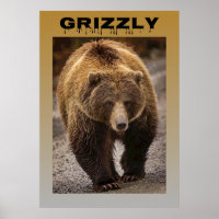 Grizzly