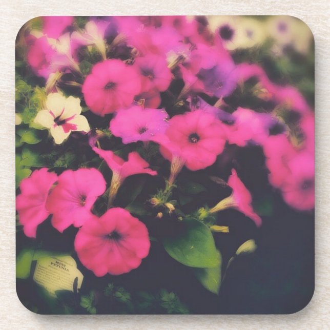 Grocery Store Flowers Coaster (Front)