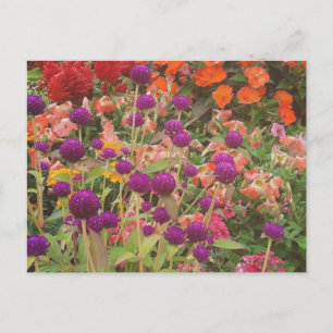 Grocery Store Flowers Postcard
