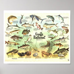 Groffs placemat 8x10 poster